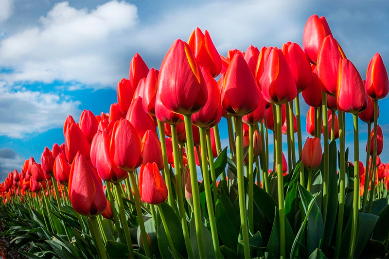 График работы магазинов 7, 8 и 9 марта